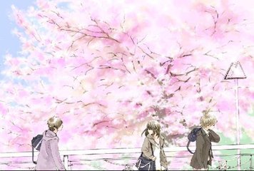 蘑菇tv网页版直接进入